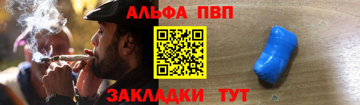 Альфа ПВП СК Кузнецк