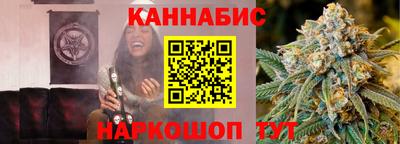 прущие крисы Кингисепп
