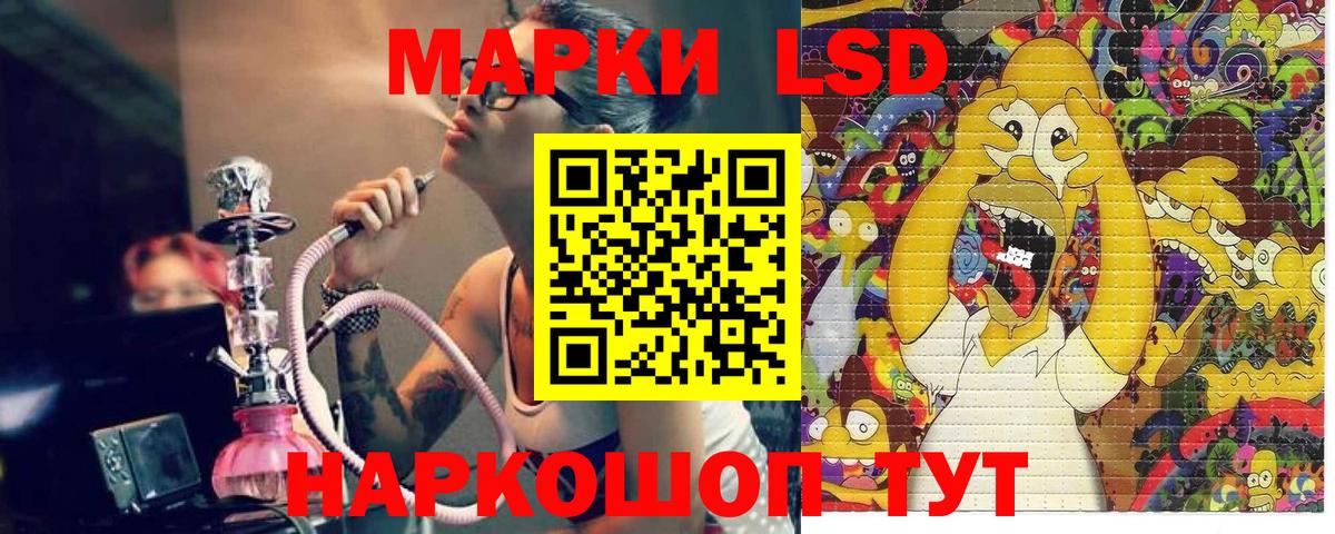 Наркотические марки 1500мкг  Наркотические марки 1500мкг  Наркотические марки  Вход с VPN  Кузнецк 
